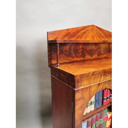 307 - William IV mahogany two door side cabinet with gallery back {120 cm H x 80 cm W x 31 cm D}.