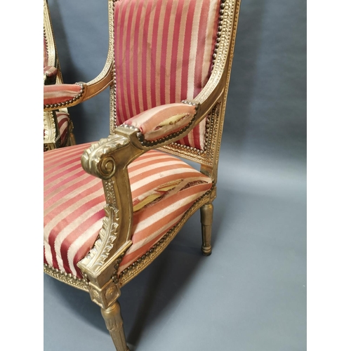 322 - Pair of carved giltwood and upholstered arm chairs in the French style {108 cm H x 56 cm W x 56 cm D... 