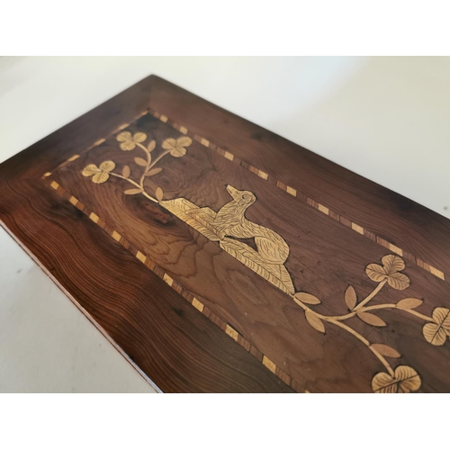 327 - 19th C. yew wood Killarney jewellery box {7 cm H x 23 cm W x 12 cm D}.