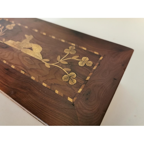 327 - 19th C. yew wood Killarney jewellery box {7 cm H x 23 cm W x 12 cm D}.