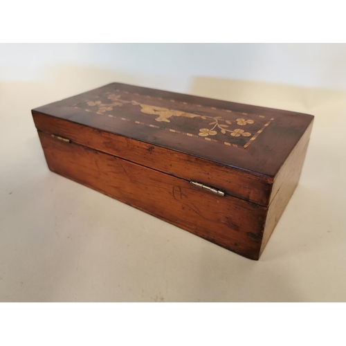 327 - 19th C. yew wood Killarney jewellery box {7 cm H x 23 cm W x 12 cm D}.