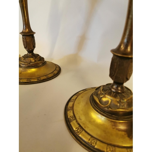 338 - Pair of Edwardian brass table lamps decorated with rosettes {38 cm H x 16 cm Dia.}.