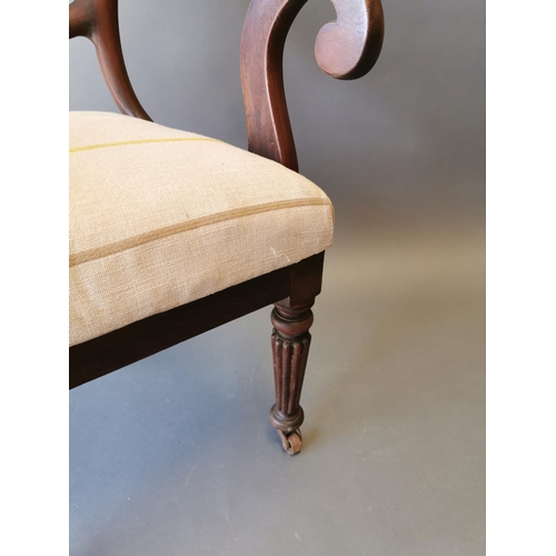 409 - Regency mahogany open arm chair on reeded legs {90 cm H x 54 cm W x 50 cm D}.
