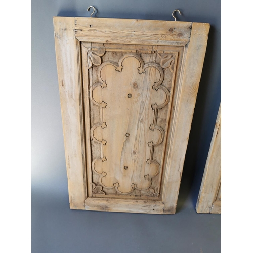 410 - Pair of 19th C. carved pine wall hanging panels {87 cm H x 54 cm W}.