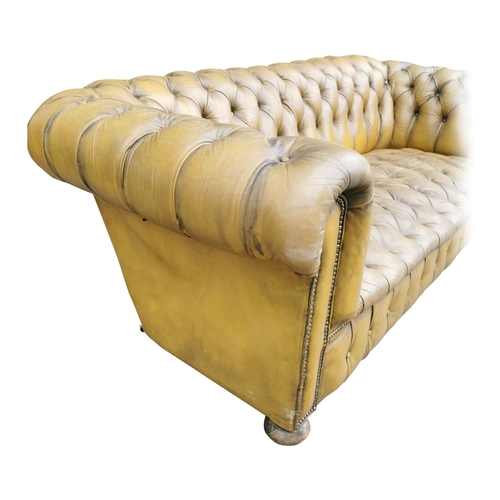410A - Good quality hand died leather deep buttoned Chesterfield sofa on turned legs and brass castors {70 ... 
