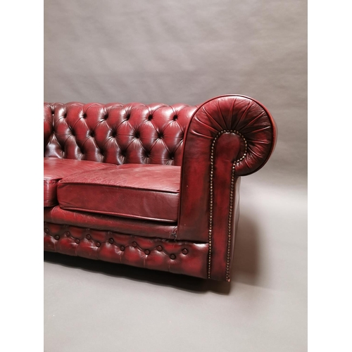 413 - Good quality oxblood leather deep buttoned two seater Chesterfield sofa {66 cm H x 161 cm W x 85 cm ... 