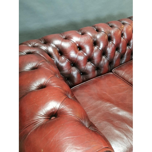 413 - Good quality oxblood leather deep buttoned two seater Chesterfield sofa {66 cm H x 161 cm W x 85 cm ... 