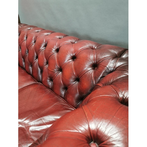 414 - Good quality oxblood leather deep buttoned  two seater Chesterfield sofa {66 cm H x 161 cm W x 85 cm... 