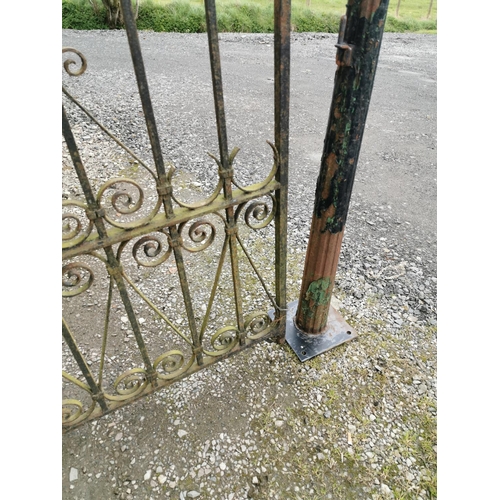 432A - 19th C. wrought iron gate {146 cm H x 92 cm W}. with two matching cast iron gate posts {134 cm H}.
