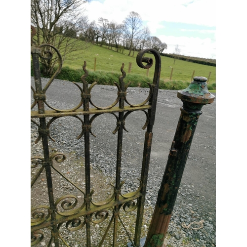 432A - 19th C. wrought iron gate {146 cm H x 92 cm W}. with two matching cast iron gate posts {134 cm H}.
