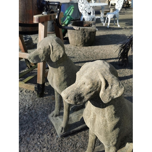 473 - Pair of good quality cast stone models of seated dogs {73 cm H x 23 cm W x 47 cm D}.
