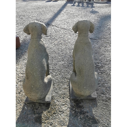 473 - Pair of good quality cast stone models of seated dogs {73 cm H x 23 cm W x 47 cm D}.