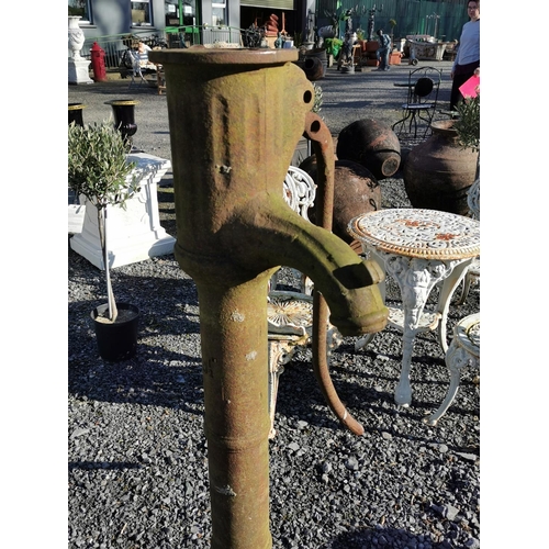 478 - 19th C. cast iron water pump {126 cm H x 63 cm W x 43 cm D}.