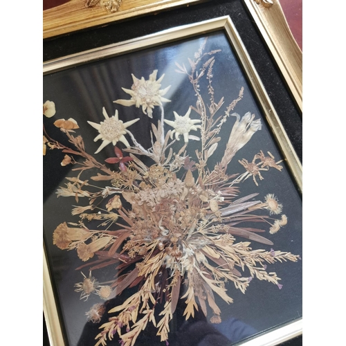 482 - Framed dried flower montage. { 35cm H X 29cm W }.
