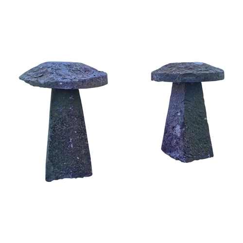 432 - Pair of 18th C. limestone saddle stones {72 cm H x 54 cm Dia.}.