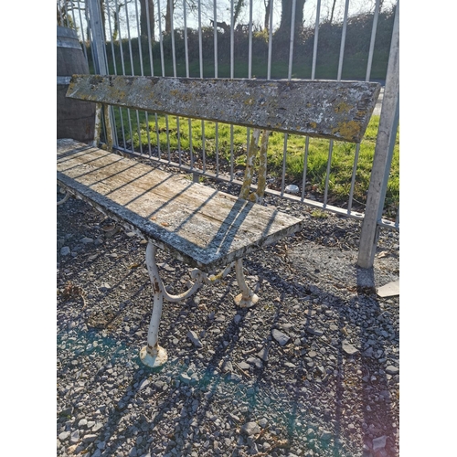 449 - Late 19th C. cast iron and wooden garden bench {72 cm H x 160 cm W x 48 cm D}.