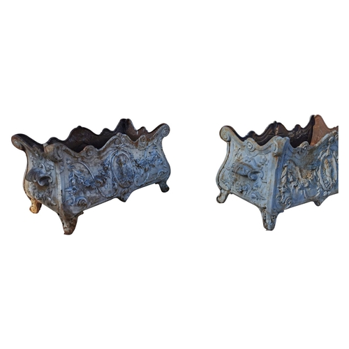457 - Pair of 19th C. cast iron planters {31 cm H x 55 cm W x 30 cm D}.