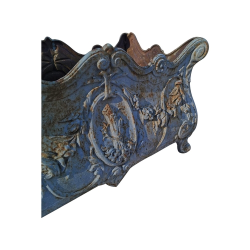 457 - Pair of 19th C. cast iron planters {31 cm H x 55 cm W x 30 cm D}.
