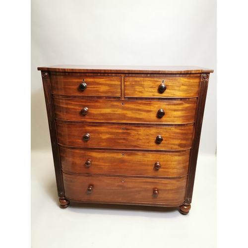 76 - William IV mahogany chest the shaped front above the short drawers and four graduated drawers , rais... 