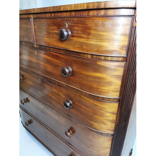 76 - William IV mahogany chest the shaped front above the short drawers and four graduated drawers , rais... 