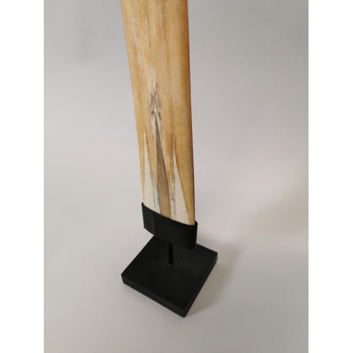 94 - Large sword fish bone mounted on metal stand {89 cm H x 10 cm W}.