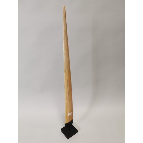 94 - Large sword fish bone mounted on metal stand {89 cm H x 10 cm W}.