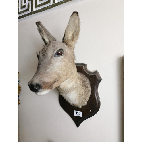 Lot 139       