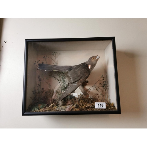 Lot 146       