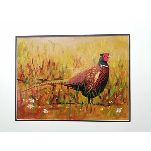 81 - R Keefer The Cock Pheasant Watercolour { 59cm H X 70cm W }.