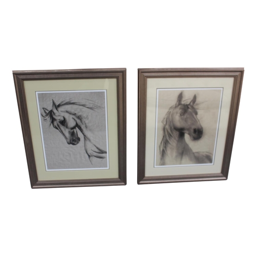 30 - Two charcoal drawings of Horses mounted in wooden frames    { 77cm H x  62cm W }