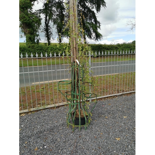 19 - Wrought iron tiered planter {130 cm H x 70 cm Dia.}.