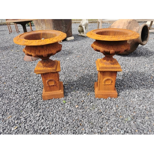 36 - Pair of cast iron decorative urns on pedestals {60 cm H x 43 cm Dia.}.