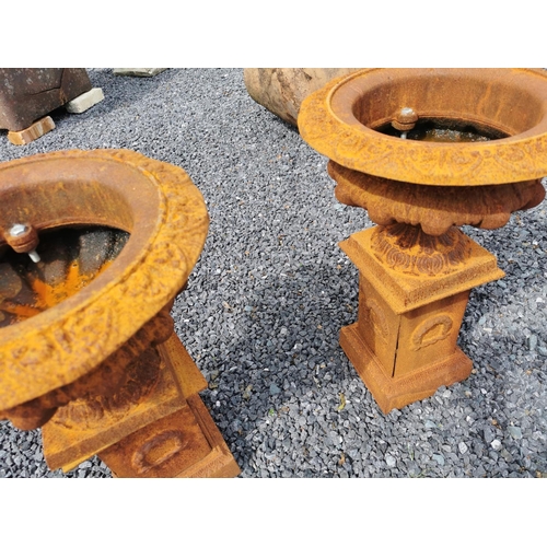 36 - Pair of cast iron decorative urns on pedestals {60 cm H x 43 cm Dia.}.