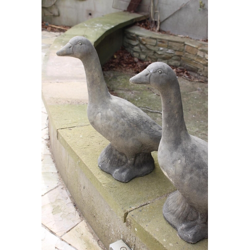 40 - Pair of composite stone models of Geese. {57 cm H x 26 cm W x 48 cm D}.
