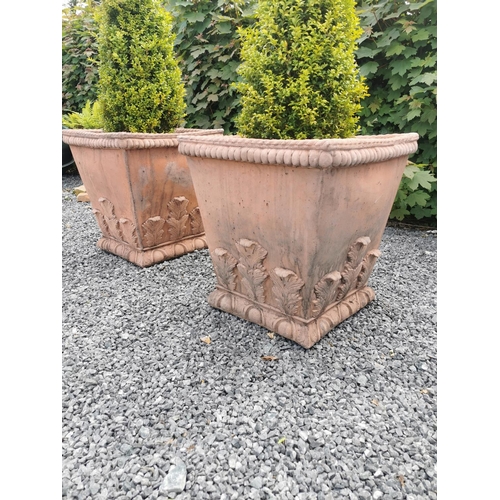 49 - Pair of square terracotta planters decorated with acanthus leaf including boxwood bush {63 cm H (pla... 
