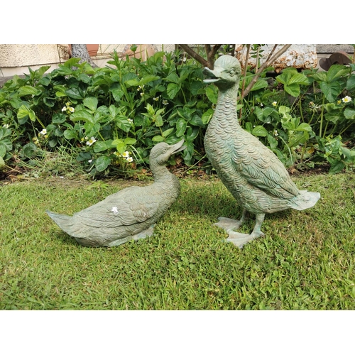 8 - Two exceptional quality bronze ducks {42 cm H x 15 cm W x 30 cm D and 22 cm H x 15 cm W x 37 cm D}.