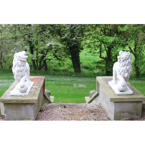 32 - Pair of composition stone models of Lions with ball at feet. { 76 cm H x 30 cm W x 80 cm D}.