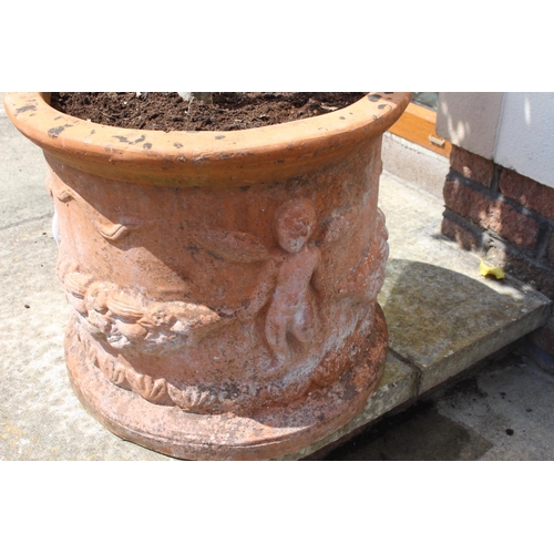 1125 - Pair of terracotta planters decorated with swags and angels with holly trees included. Planters {40 ... 