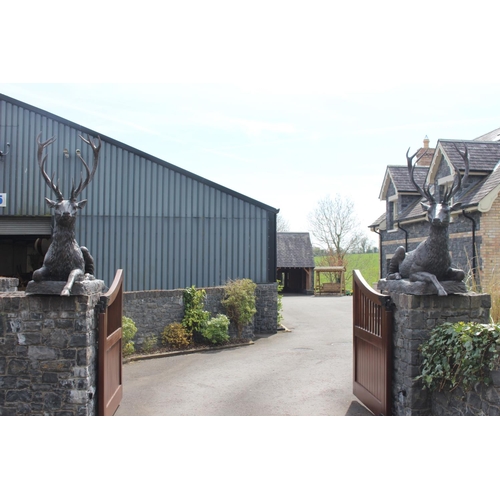 364 - Pair of bronze models of seated Stags {190 cm H x 200 cm W x 60 cm D}.