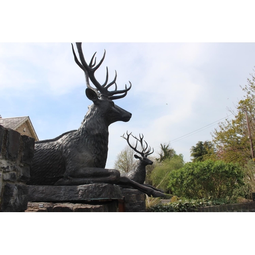 364 - Pair of bronze models of seated Stags {190 cm H x 200 cm W x 60 cm D}.