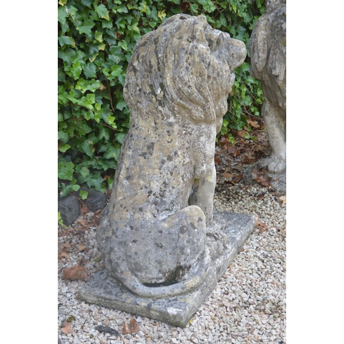 2 - Pair of stone figures of seated Lion's raised on rectangular plinth {96 cm H x 72 cm W x 42 cm D}.