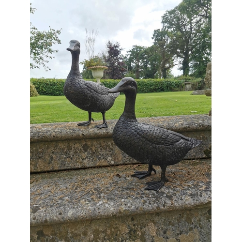 23 - Pair of bronze ducks {41 cm H x 16 cm W x 47 cm D}.