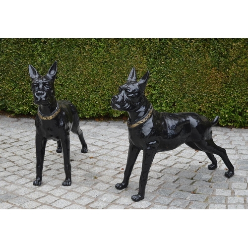 60 - Pair of heavy cast iron models of Boxer dogs {80 cm H x 90 cm W}.