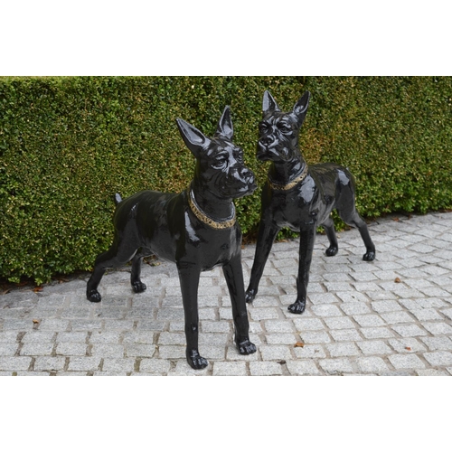 60 - Pair of heavy cast iron models of Boxer dogs {80 cm H x 90 cm W}.