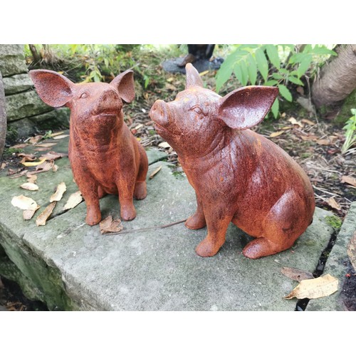 20A - Pair of cast iron models of pigs {28cm H x 20cm W x 27cm D}