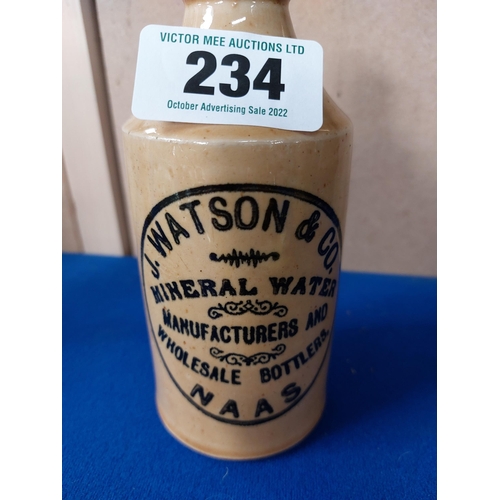 234 - J Watson and Co Naas stoneware Ginger beer bottle. {17 cm H x 7 cm Dia}.