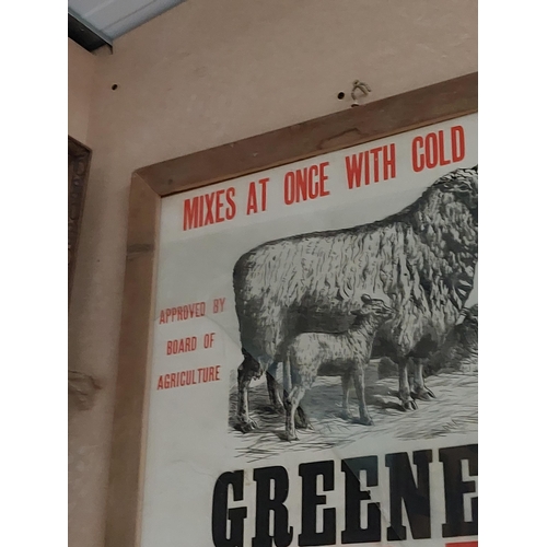 254 - Original Greene's Sheep Dip Mixes At Once With Water framed advertising print. {71 cm H x 57 cm }