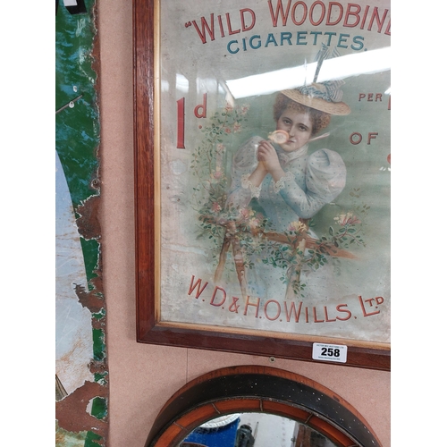 258 - Rare Wild Woodbine Cigarettes W.S. & H.O. Wills Ltd pictorial framed advertising show card {55 cm H ... 