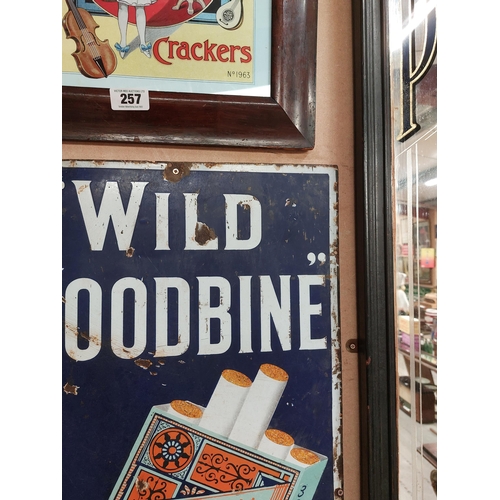 259 - Original Wild Woodbine Cigarettes enamel advertising sign. { 90 cm H x 45 cm W}.