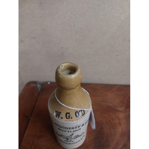 277 - W G O'Doherty and Co's Bottling Londonderry Ginger beer bottle. {20 cm H x 7 cm Dia}.